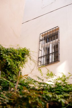 Low angle view of facade of building with window and plant clipart