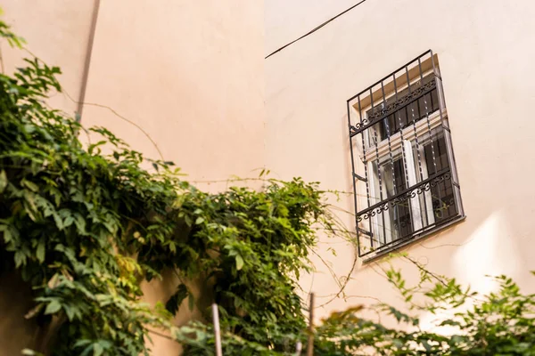 Vista Ángulo Bajo Fachada Edificio Beige Con Ventana Planta — Foto de Stock