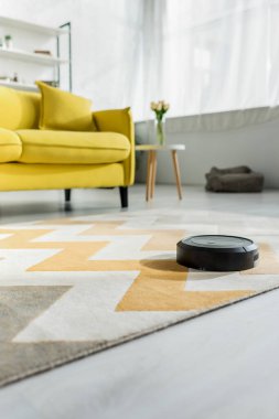Modern robotik süpürgenin seçici odak noktası oturma odasındaki kanepenin yanındaki halıyı yıkamak. 