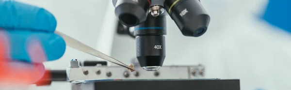 Vista Ritagliata Biochimico Che Tiene Pinzette Vicino Microscopio Colpo Panoramico — Foto Stock