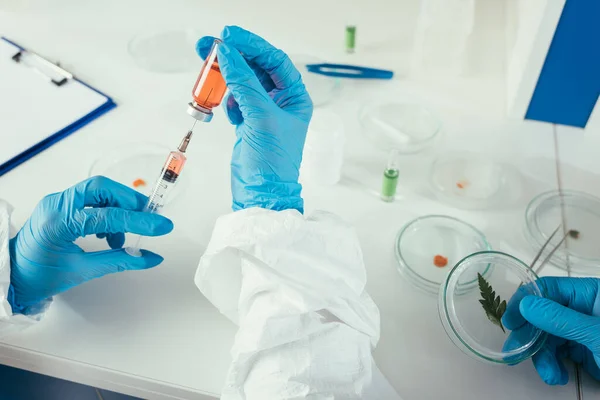 生物化学家与注射器配药的剪影近于同事拿着绿叶培养皿 — 图库照片