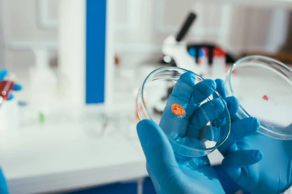 Cropped View Biochemist Rubber Gloves Holding Petri Dishes Biomaterial — Stock Photo, Image