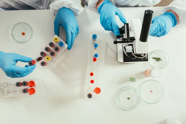 Cropped View Biochemists Test Tubes Petri Dishes Microscope Top View — Stock Photo, Image