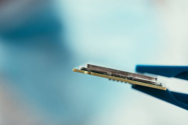 bilgisayar mikroçipli cımbızların seçici odağı