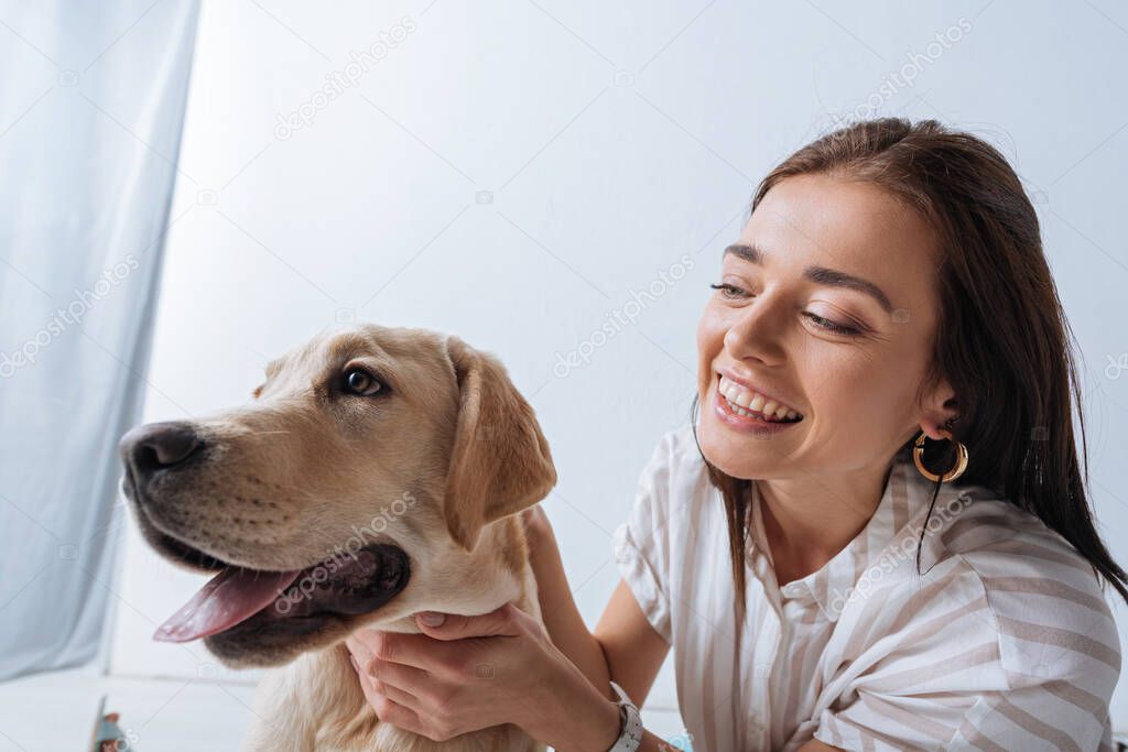 Smiling girl petting golden retriever on white background