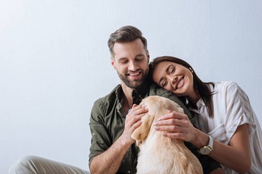 Gülümseyen kadın gri arka planda yakışıklı erkek arkadaşının yanında Golden Retriever 'a dokunuyor.