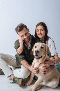 Gri arka planda Golden Retriever 'ı okşayan mutlu çift