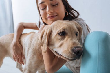 Gözleri kapalı güzel bir kadın Golden Retriever 'ı okşuyor. Gri renkte izole edilmiş.