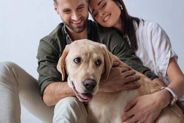 Selective Focus Golden Retriever Smiling Young Couple Isolated Grey — Stock Photo, Image