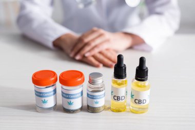 CBC ve tıbbi kenevir harfleri olan şişelerin seçici odak noktası doktorun yanında. 