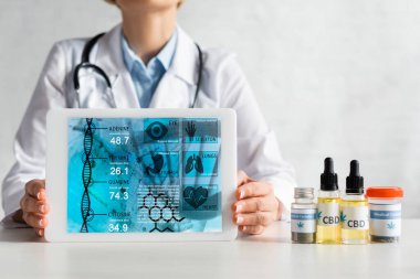 Beyaz önlüklü olgun bir doktorun elinde dijital tabletle CBD ve kenevir harfli şişelerin yanında tıbbi uygulama bulundurması. 