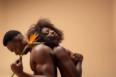 Seksi, çıplak, Afro-Amerikan çift bej rengi çiçekle poz veriyor.