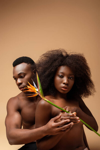 Sexy naked african american couple posing with Strelitzia flower on beige