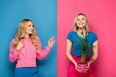 Gülümseyen sarışın kız pembe ve mavi arka planda çiçekleri tutan neşeli kız kardeşine bakıyor.