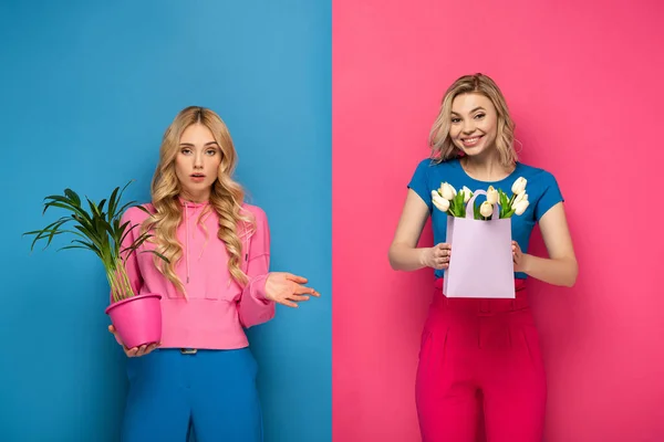 Confused Blonde Girl Holding Plant Smiling Sister Bouquet Blue Pink — ストック写真