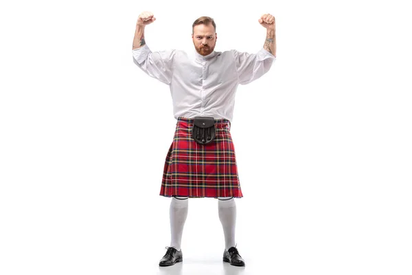 Forte Scozzese Rossa Uomo Kilt Rosso Mostrando Pugni Sfondo Bianco — Foto Stock