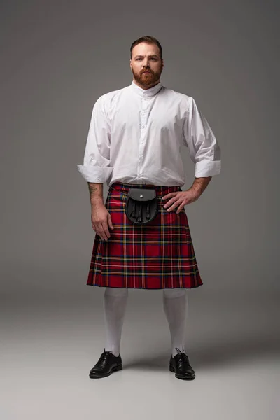 Rojo Escocés Pelirrojo Escocés Con Mano Cadera Sobre Fondo Gris — Foto de Stock