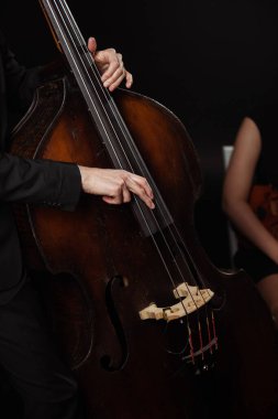 partial view of professional musicians playing on violin and contrabass on dark stage clipart