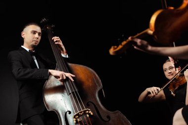 professional musicians playing on double bass and violins isolated on black clipart
