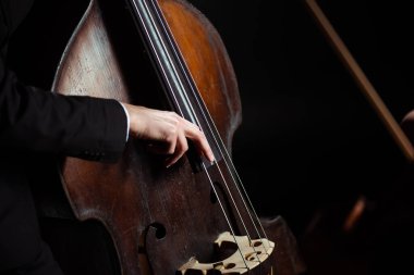 Müzisyenlerin karanlık sahnedeki kontrabastta oynamalarının kırpılmış görüntüsü