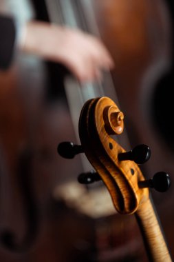 cropped view of professional musicians playing on violin and contrabass on dark stage, selective focus clipart