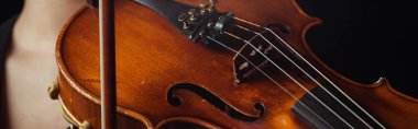 close up of professional violin and bow, panoramic concept clipart