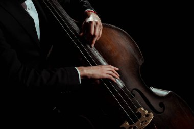 cropped view of male professional musician playing on contrabass isolated on black clipart