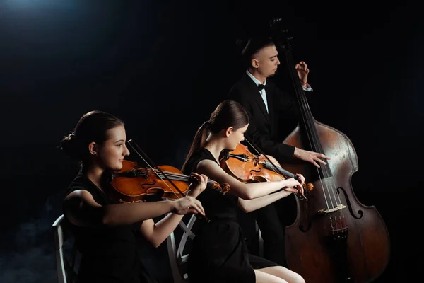 Músicos Profissionais Tocando Contrabaixo Violinos Isolados Preto — Fotografia de Stock