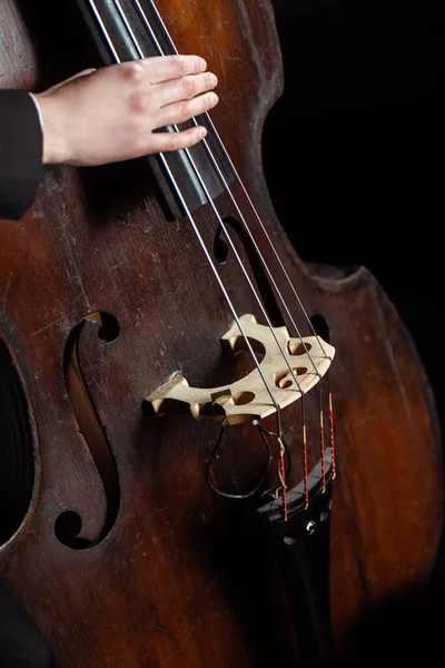 Recortado Vista Músico Profesional Jugando Contrabajo Aislado Negro — Foto de Stock