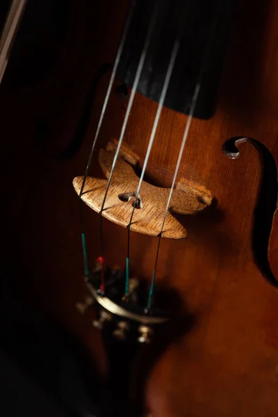 Close Violino Profissional Foco Seletivo — Fotografia de Stock