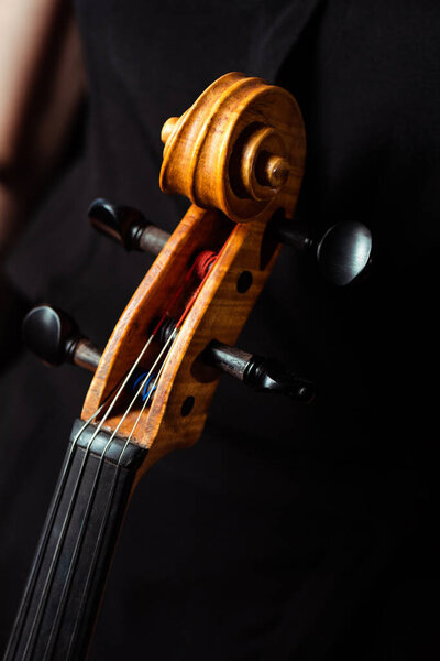 обрезанный вид женщины-музыканта и скрипки на темной сцене
