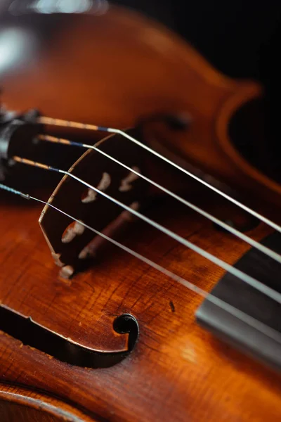 プロのバイオリンを閉じて選択的焦点を当て — ストック写真