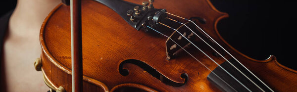 крупный план профессиональной скрипки и лука, панорамная концепция
