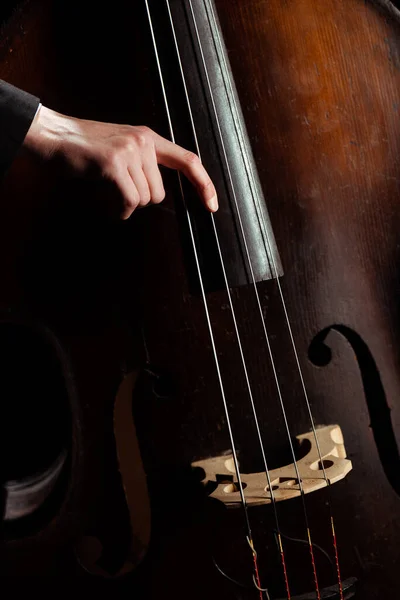 Cropped View Professional Musician Playing Double Bass Dark Stage — Stock Photo, Image