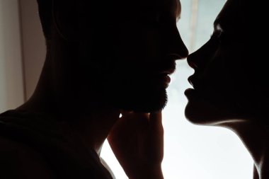 Seksi, tutkulu, genç öpüşen çiftin siluetleri.