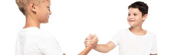 Panoramic shot of smiling brothers holding hands isolated on white — Stock Photo