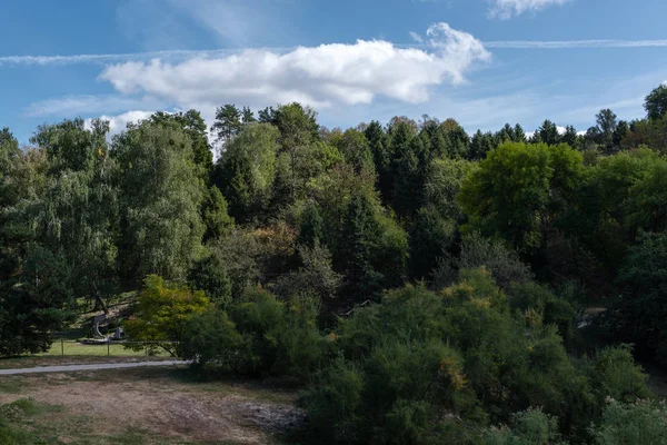 Bois verts dans le parc et ciel bleu avec des nuages en arrière-plan — Photo de stock