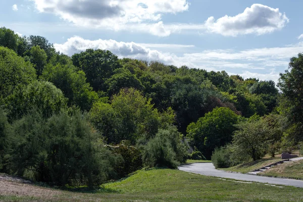 Зеленые деревья и дорожки с облачным небом на заднем плане — стоковое фото