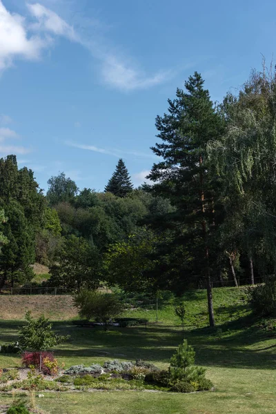Césped soleado con césped verde y árboles en el parque - foto de stock