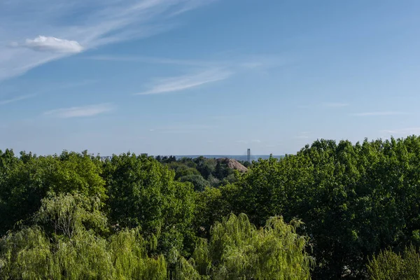 Vue aérienne d'arbres au feuillage vert et au ciel bleu en arrière-plan — Photo de stock