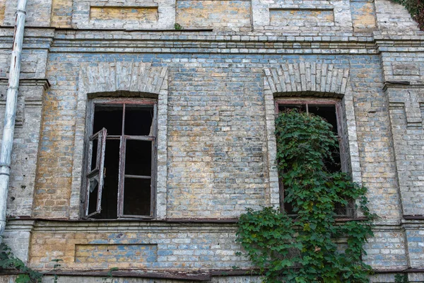 Facciata di edificio abbandonato con uva selvatica su parete e finestra — Foto stock