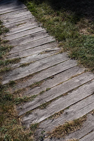 High angle view of wooden walkway and grass — Stock Photo