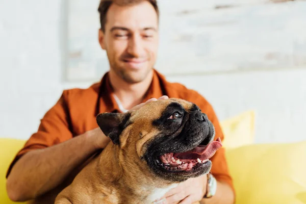 Mann streichelt französische Bulldogge auf Sofa — Stockfoto