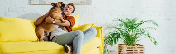 Panoramic shot of happy man hugging bulldog on sofa in living room — Stock Photo
