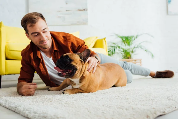 Homme caressant bouledogue français sur tapis dans le salon — Photo de stock