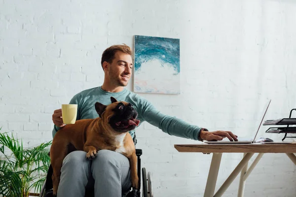 Disabled man with french bulldog on knees holding cup and working on laptop — Stock Photo