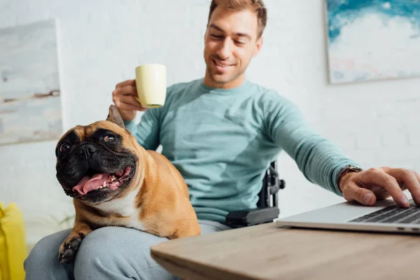 Hombre discapacitado sosteniendo bulldog francés de rodillas mientras bebe té y trabaja en el portátil - foto de stock