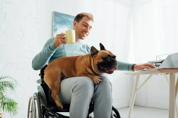 Улыбающийся мужчина в инвалидной коляске держит французский бульдог и чашку во время использования ноутбука — стоковое фото