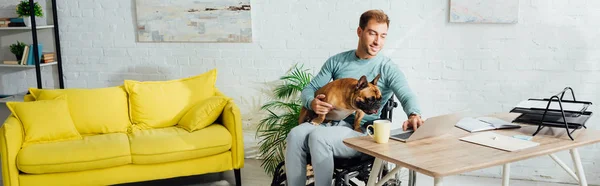 Homem com deficiência segurando bulldog francês de joelhos e trabalhando em laptop, tiro panorâmico — Stock Photo