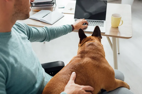 Cropped view of man holding french bulldog on knees and using laptop — Stock Photo